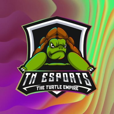 The Turtle Empire