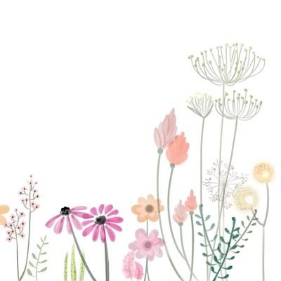 9aWJTCMxMPdzIuy's profile picture. 