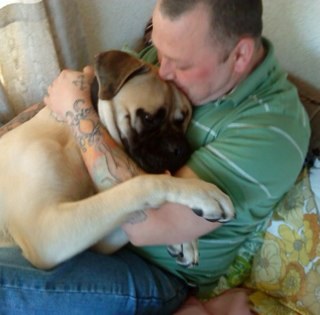 HGV driver , married to joanne , loves BULLMASTIFF