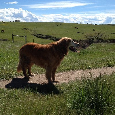 EvanoBachi's profile picture.