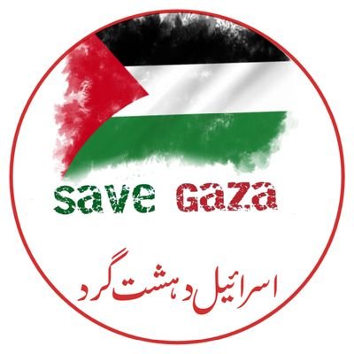 MujahidAli631's profile picture. 