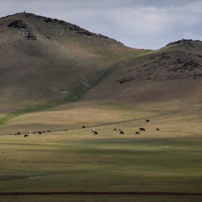 Бэлчээрийг хайрлаж, төрсөн нутгаа хайрлаж, монголчуудаараа бахархаж яваарай