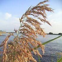 ashito_999's profile picture. Y根ｻﾝ ☞ M山ｻﾝ ☞ T林ｻﾝ ☞ O場ｻﾝ ☞ S宮ｻﾝ ☞Y本ｻﾝ☞K井ｻﾝ☞Y田さん☞それがし 狙いは🦁一択【正しい位置で、正しい方向に、正しい努力を】