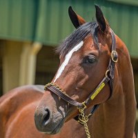 Tony Calo (@tonycalo5) 's Twitter Profile Photo Tony Calo (@tonycalo5) 's Twitter Profile Photo