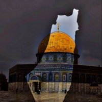 AbuOmar.Alfqeh (@alfqehabuomar) 's Twitter Profile