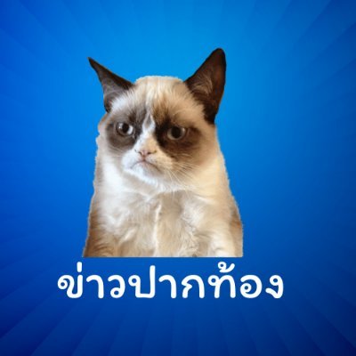 ต้องทันข่าวสินค้า จะได้ปรับตัววางแผนซื้อของเข้าบ้าน