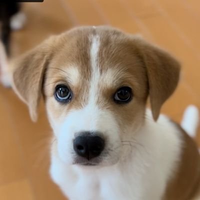 oIIIIIIIo175097's profile picture. 