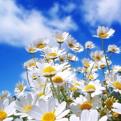 Lone adopter with 2 amazing daughters and lots of pets Love craft and nature Failed Blogger https://t.co/J8Lg74AwJ6