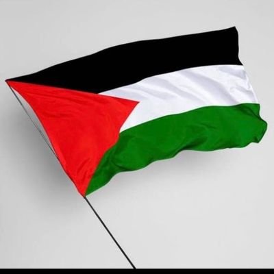 Adnanah1947's profile picture. 