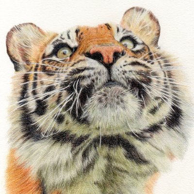 SamWoodhouseAnimalArtistさんのプロフィール画像