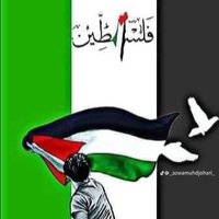 witnessinghumaitydie 🇵🇸(@CCrazyReddHeadd) 's Twitter Profile Photo