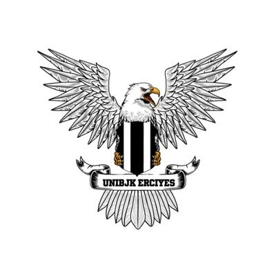 UNIBJKErciyes Profile Picture