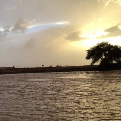 khaledt1349287's profile picture. 