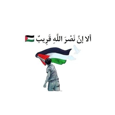 صلي علي النبي وانت داخل
رحمك الله يا ابي 💔
اهلاوي والفخر ليا 🦅
تحيا فلسطين 🇵🇸🇵🇸