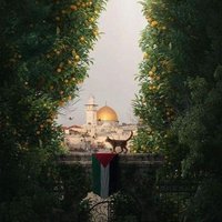 Zeinab Abogabel (@zabogabel) Twitter profile photo