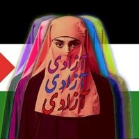 مہرالنساء🇵🇸(@meethebuns) 's Twitter Profile Photo