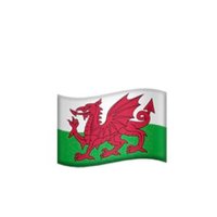 Canolfan Gwenllian 🏴 (@gwenllianyggf) 's Twitter Profile