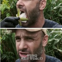 백합먹는아저씨 (@ihaveanythings) 's Twitter Profile