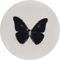 π₯ππ¦π (@ll9_rs72) 's Twitter Profile