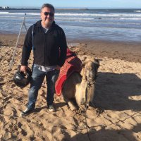 TimmO (@ozzzzzzieee) 's Twitter Profile