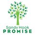 Sandy Hook Promise (@sandyhook) Twitter profile photo