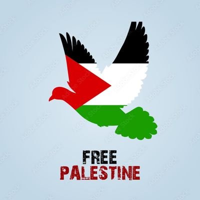 Free Free Palestine 🇦🇪 🕊🌹❤️🤍
Défendre le droit humain