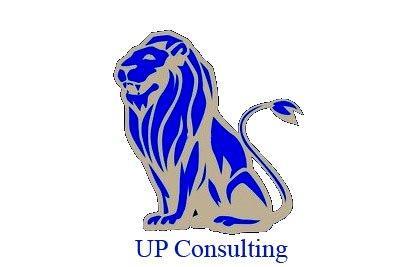 Uggeri Consulting. UP Consulting Consulenza Manageriale      Direzione aziendale e commerciale Energie alternative Automazione Industriale Impianti Biogas