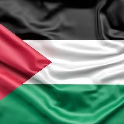 malikaraish_69's profile picture. Dubito ergo cogito, cogito ergo sum