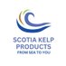 Scotia Kelp (@ScotiaKelp) Twitter profile photo