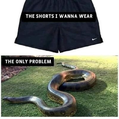 bullshitting69's profile picture. Just a nasty ass nigga, that's about it. Scroll my page and thank me later.
Good gas on deck 
6'4
#dmvfreaks 
#dcfreaks