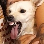 quem é rosemary (@lauzzzra) 's Twitter Profile