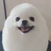 m (@cinnbonegg) Twitter profile photo m (@cinnbonegg) Twitter profile photo