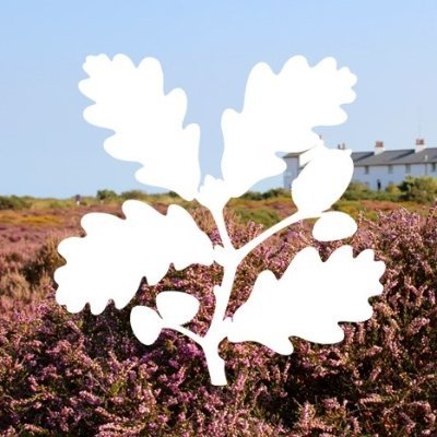 DunwichHeathNT Profile Picture