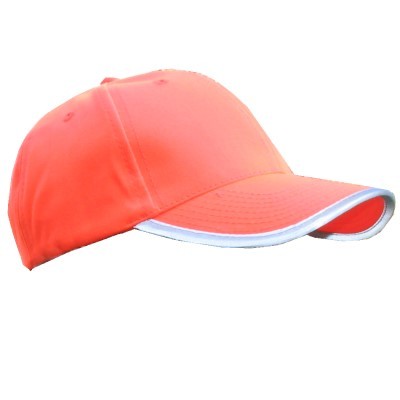 baseballcap2's profile picture. 