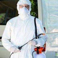 شركة مكافحة حشرات نمل ابيض صراصير فئران بق بالرياض (@shrktb85760) 's Twitter Profile