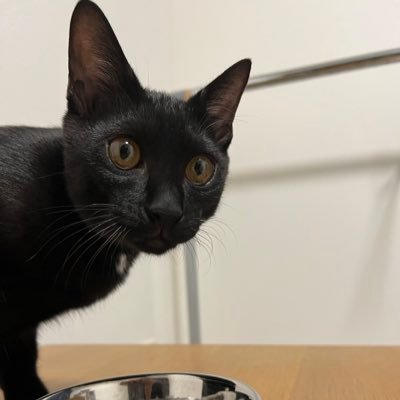 y__to28's profile picture. 