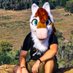 Billy-boy (@billy_boyfurr) Twitter profile photo Billy-boy (@billy_boyfurr) Twitter profile photo