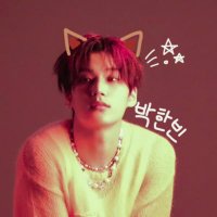 ぴょる⭐️🦊 (@phanbinforeverr) 's Twitter Profile