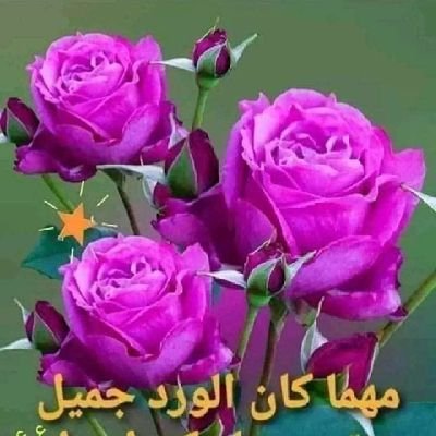 Baba531966's profile picture. Baba