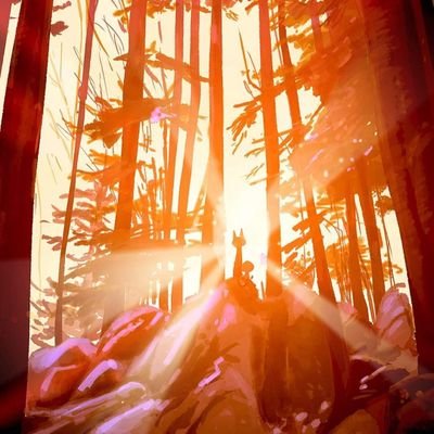 EsraaSharaf25's profile picture. 