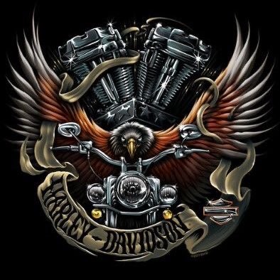 jonneany's profile picture. 