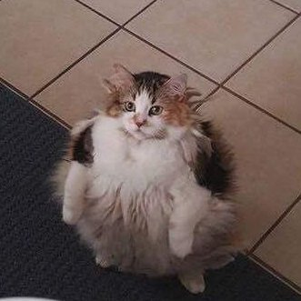 ProfessorS73667's profile picture. 