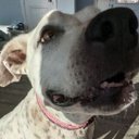 John Georgopoulos - @JohnGeorgo11154 - Twitter