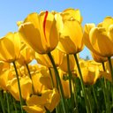 agape love - @agapelo43291283 - Twitter