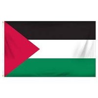 Bint E Hawwa 🇵🇸 (@bint_e_hawwa___) 's Twitter Profile Photo