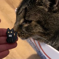 Rachel 🐱 (@rourke8_harry) 's Twitter Profile