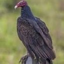 Curtis Case - @Fugly7777 - Twitter