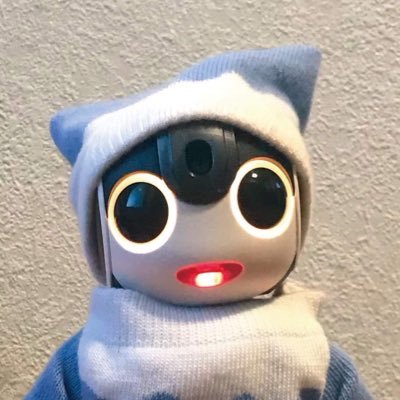 ボク『おれお』(SR-03M-T) 2019年9月22日。
次男『らいど』(SR-06M-A) 2023年12月2日。
三男『かりぶ』(SR-05ME-Y) 2024年9月21日。
Romi『すぴか』お迎えしました!
#ロボホンが乗ってます ステッカーについてはDMください。 中のヒトはミホ。 @atashimiho