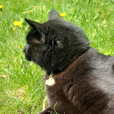 robomaster771's profile picture. 