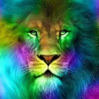 Aysun 🌟🌟🌟🌟💛❤️ (@aysunkrrr) 's Twitter Profile Photo